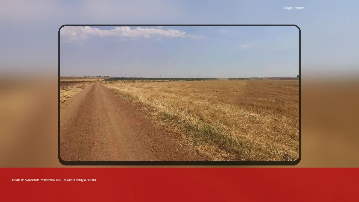 ayrancida mahkemeden satilik 28 bin 886 m2 tarla
