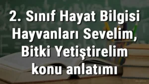 haber 1778719695