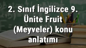 haber 1778720351