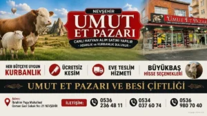 haber 1778772898