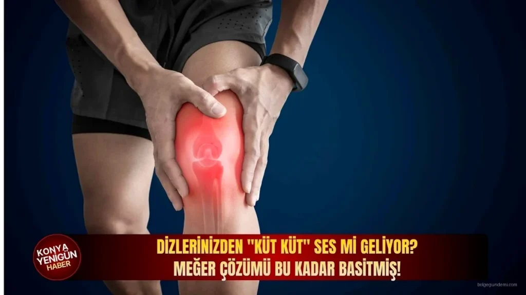 haber 1782261613