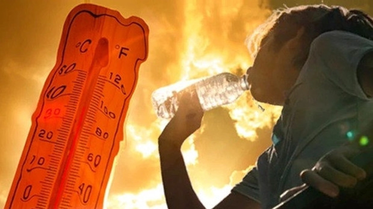 haber 1782837411