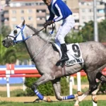atyarisi 1785152343