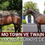 atyarisi 1785181926