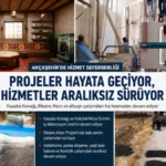 haber 1783065724