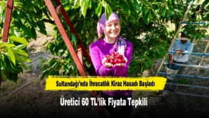 haber 1783078725