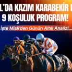 haber 1783084008