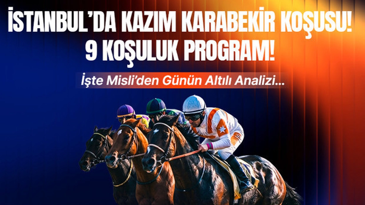 haber 1783084008