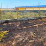 haber 1783519201