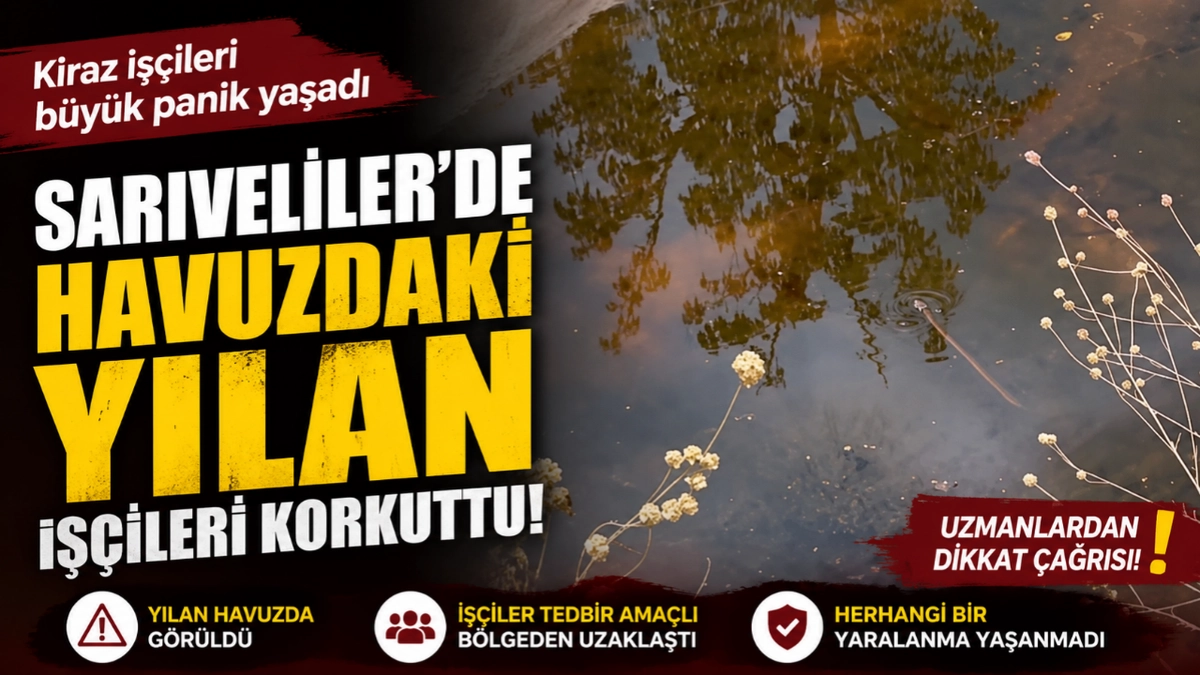 haber 1783762642