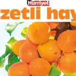 haber 1783773226