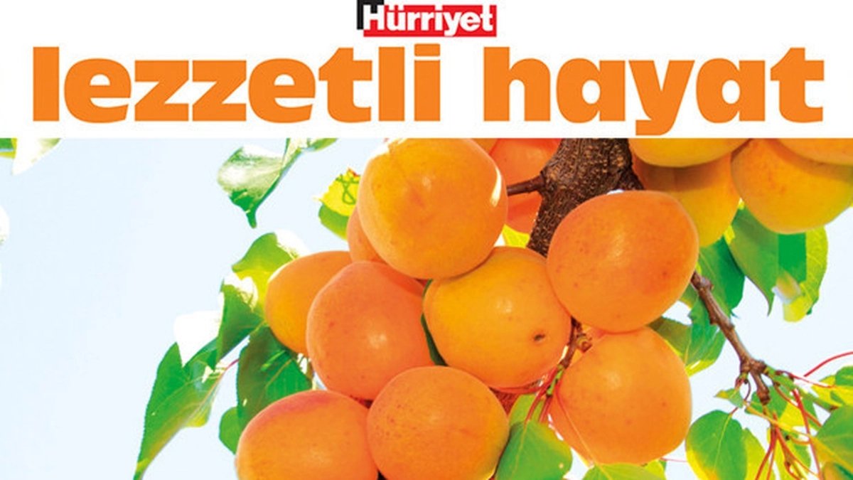 haber 1783773226
