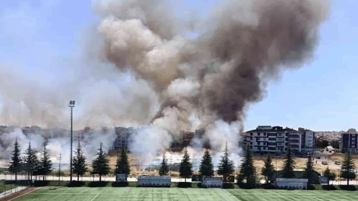 haber 1783856210
