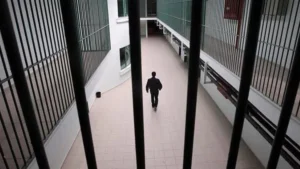 haber 1784183686