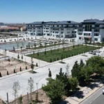 haber 1784441410