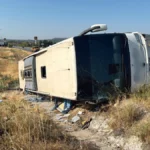 haber 1784625908