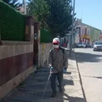haber 1784636292