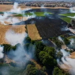 haber 1784733755