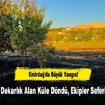 haber 1784796185