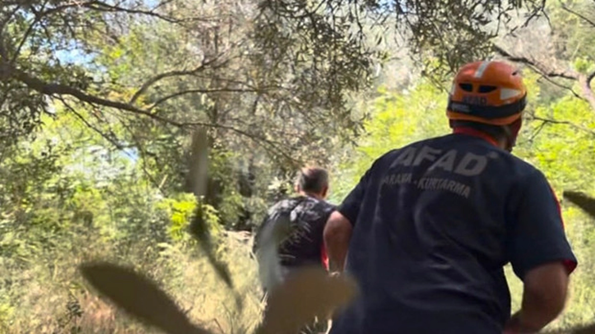 haber 1784814437