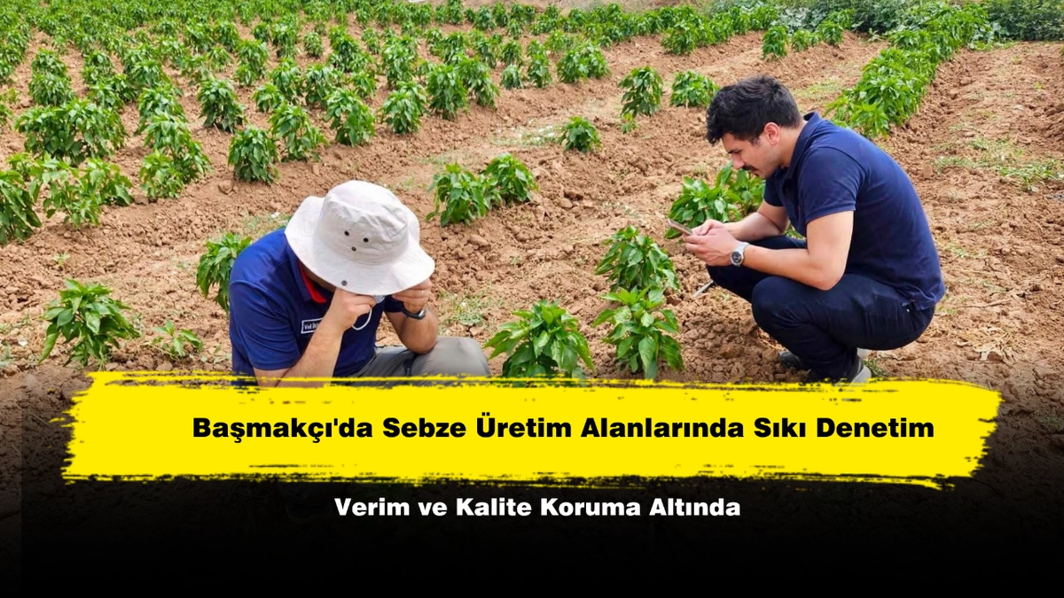haber 1785147801