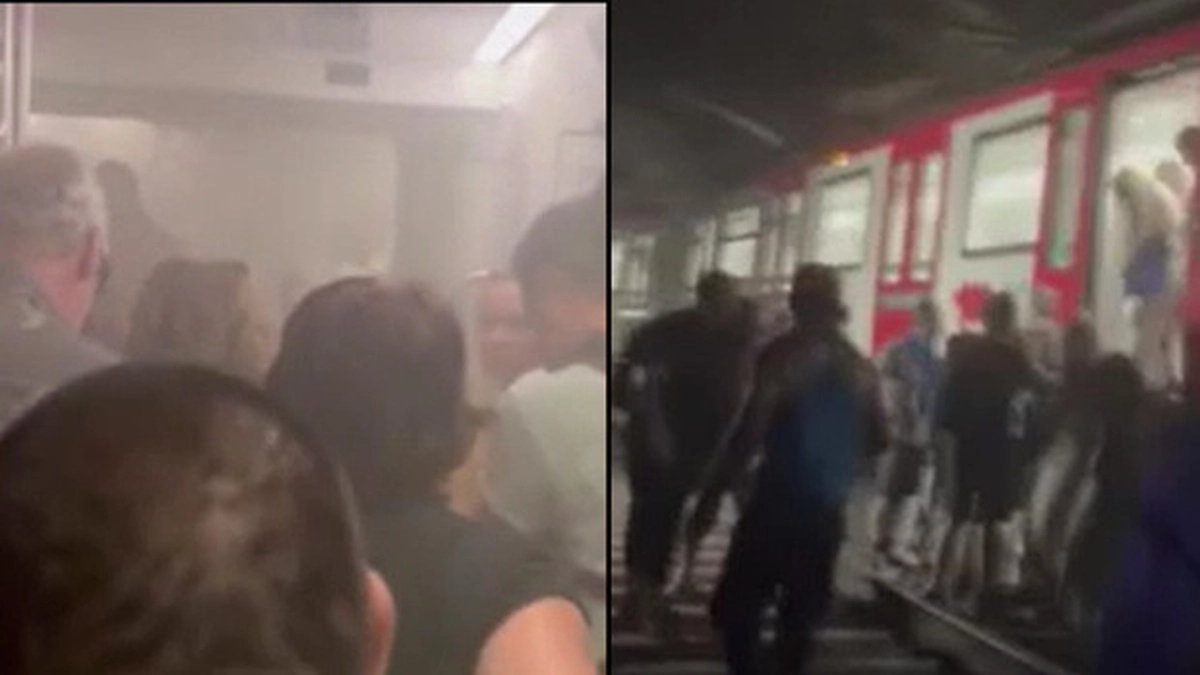 haber 1785239170