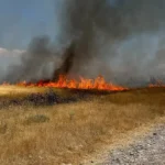 konya da anizlar alarm veriyor 1785052132 9rDQBo