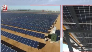 trend 1784047206