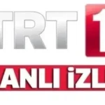 trend 1784056804