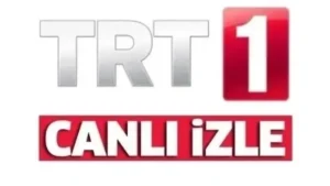 trend 1784056804