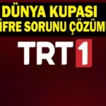 trend 1784062820
