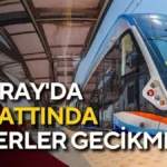 trend 1784149250