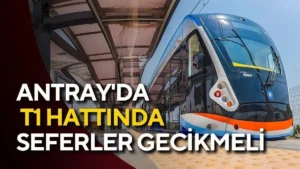 trend 1784149250