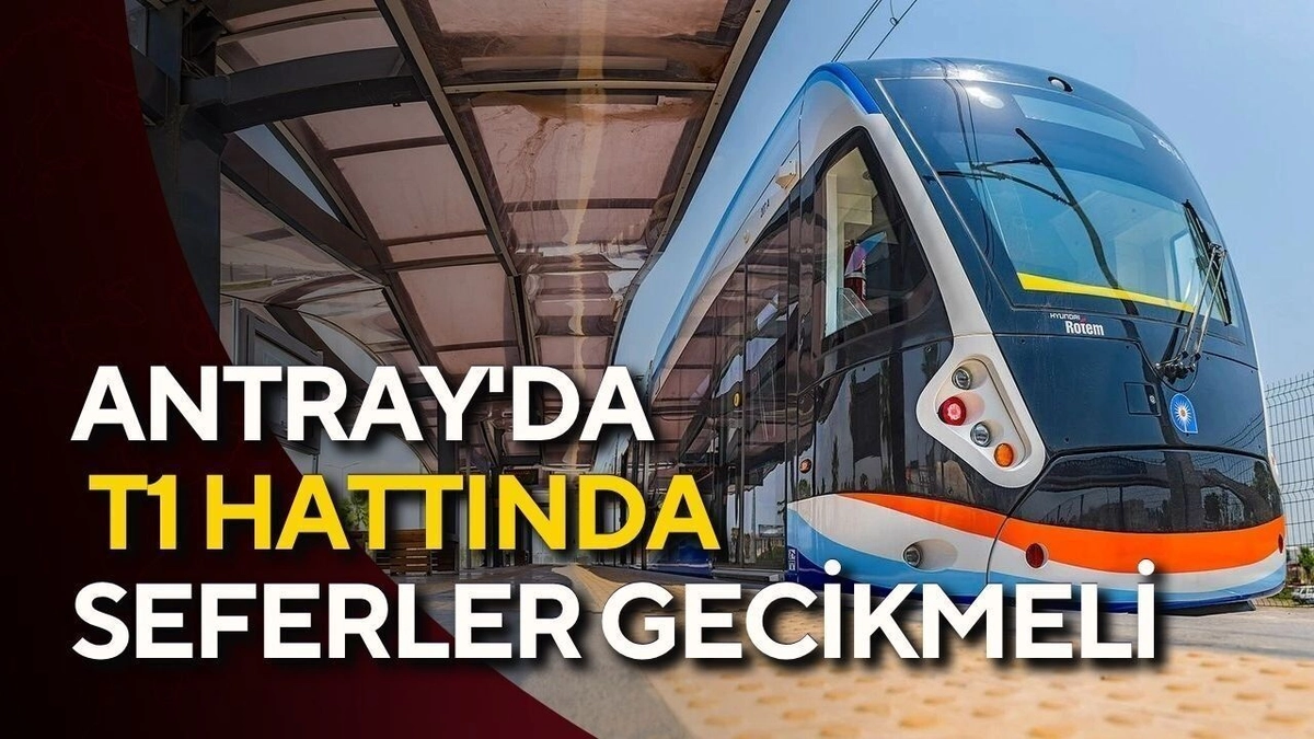 trend 1784149250