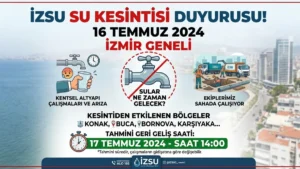 trend 1784240531