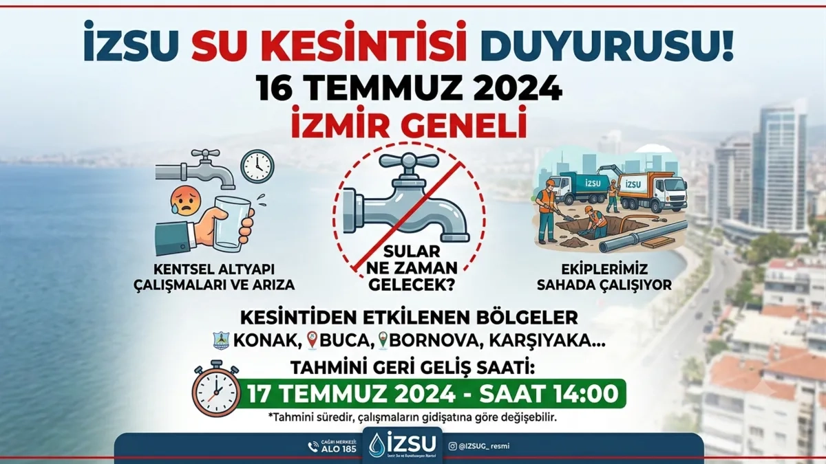 trend 1784240531