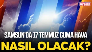 trend 1784358087