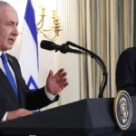 trend 1784364178
