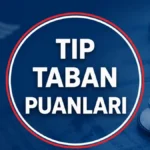 trend 1784610012