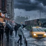 trend 1784735405