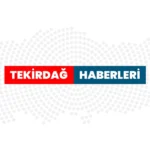 trend 1784793090