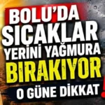 trend 1784901750