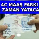 trend 1784955606