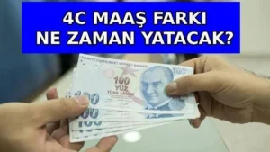 trend 1784955606