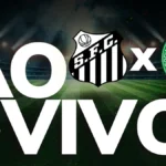 trend 1785025514