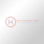 trend 1785061742