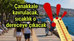 trend 1785247208